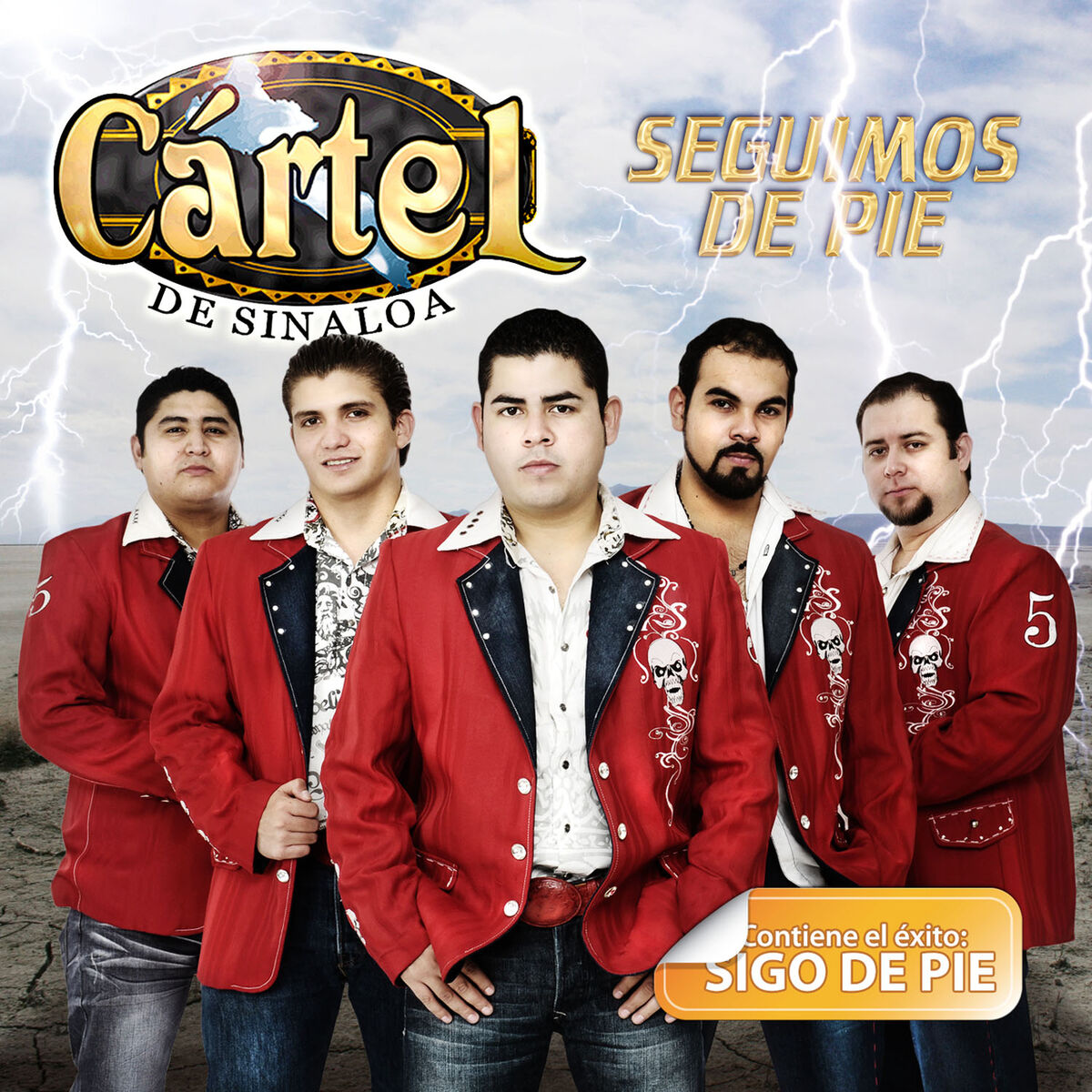 Album cover of Seguimos De Pie