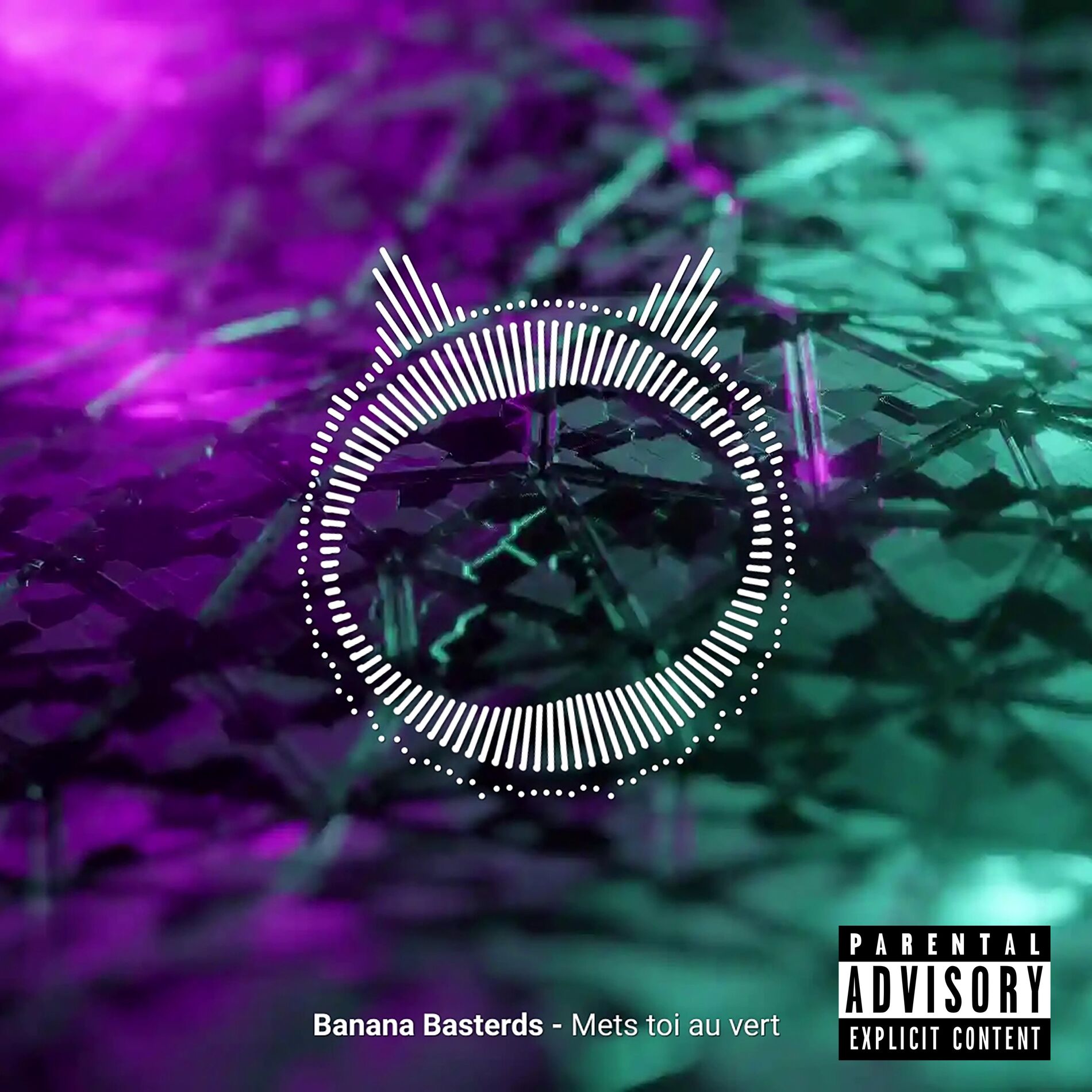 Album cover of Mets Toi au Vert