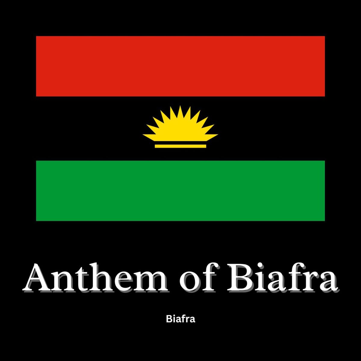 Album cover of Anthem of Biafra