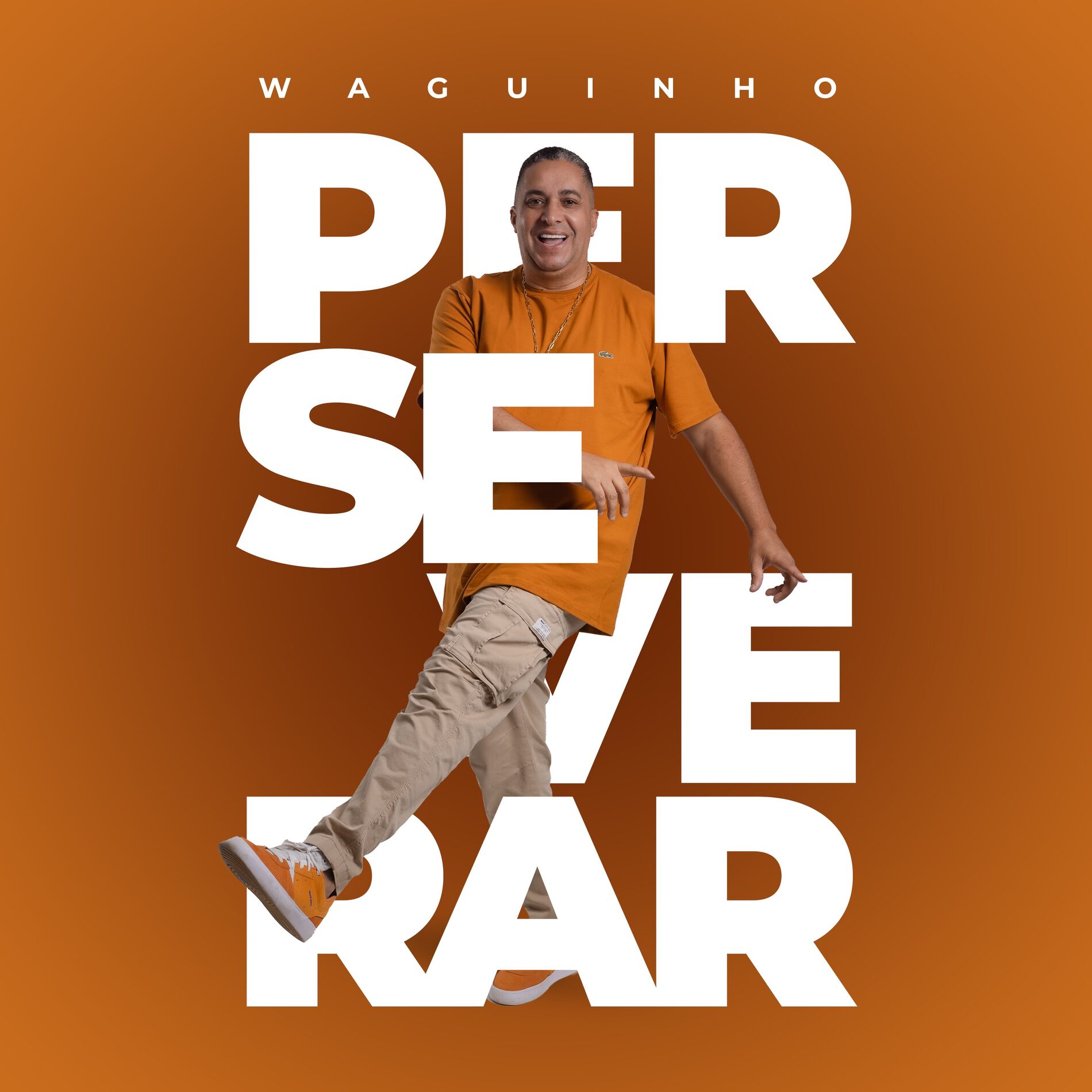 Album cover of Perseverar