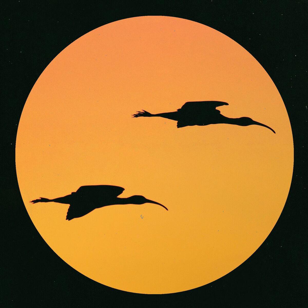 Album cover of A Day In Summer