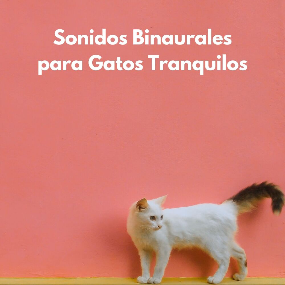 Picture of Sonidos Binaurales Para Gatos Tranquilos