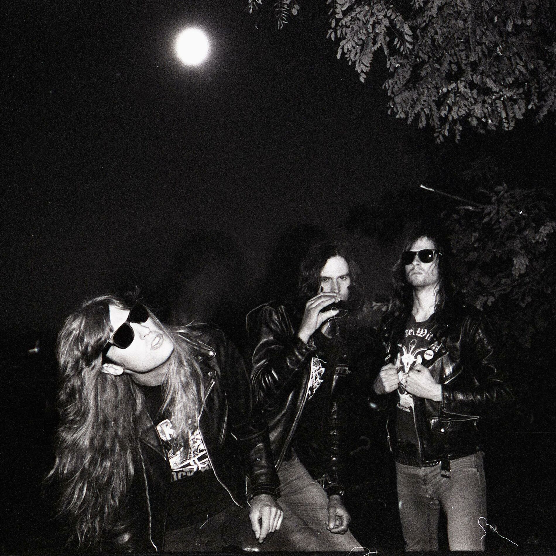 Album cover of Moonlight Desires