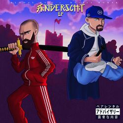Cover of Anderscht