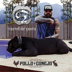 Cover of Pollo y Conejo