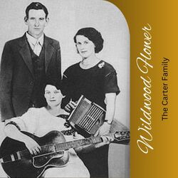 Cover of Wildwood Flower
