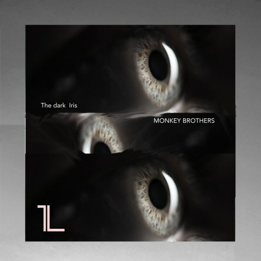 Picture of The Dark Iris