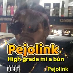 Cover of High Grade Mi a Bun