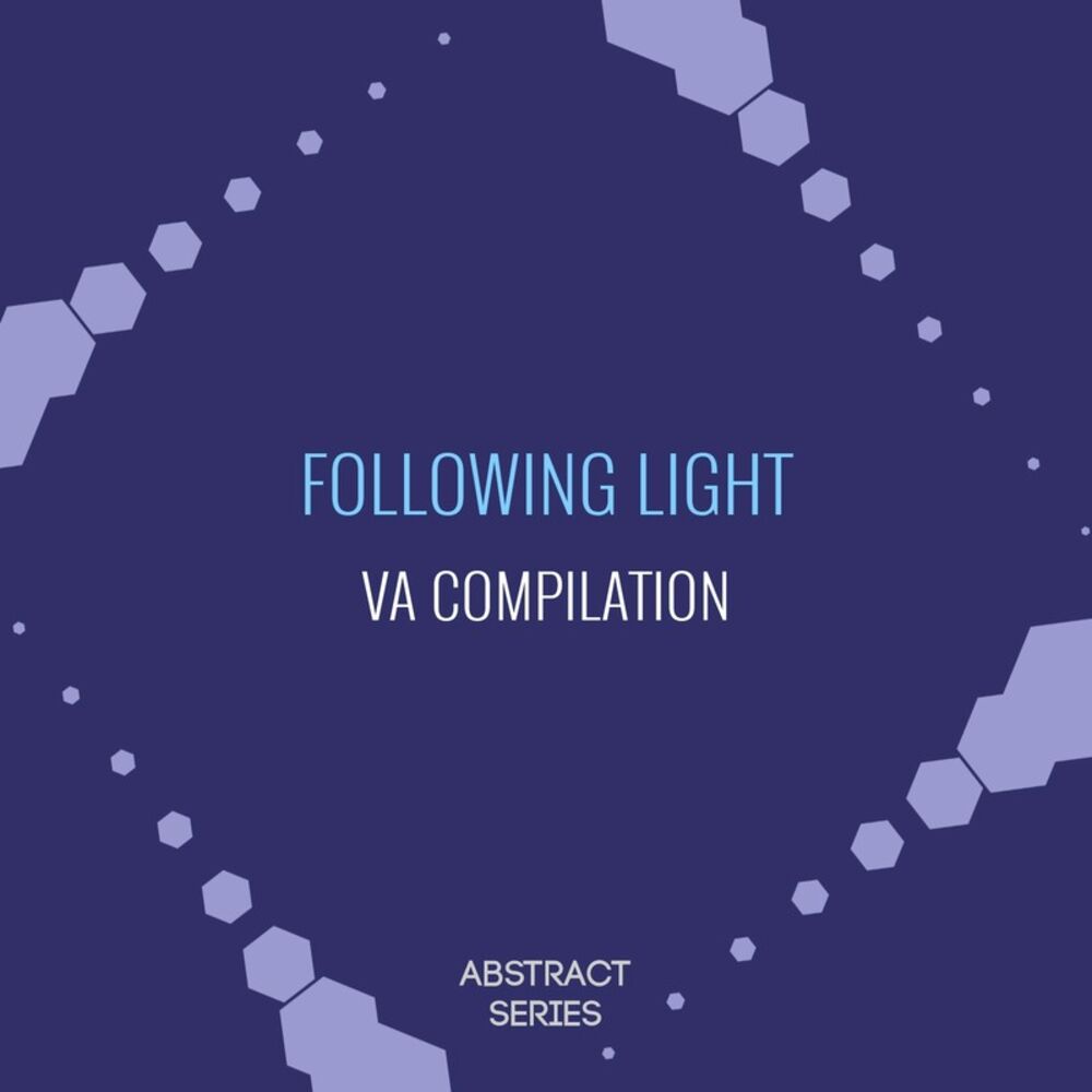 Picture of Following Light - Retrospective VA Compilation