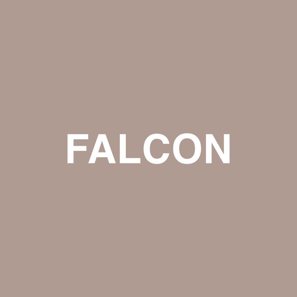 Picture of Falcon