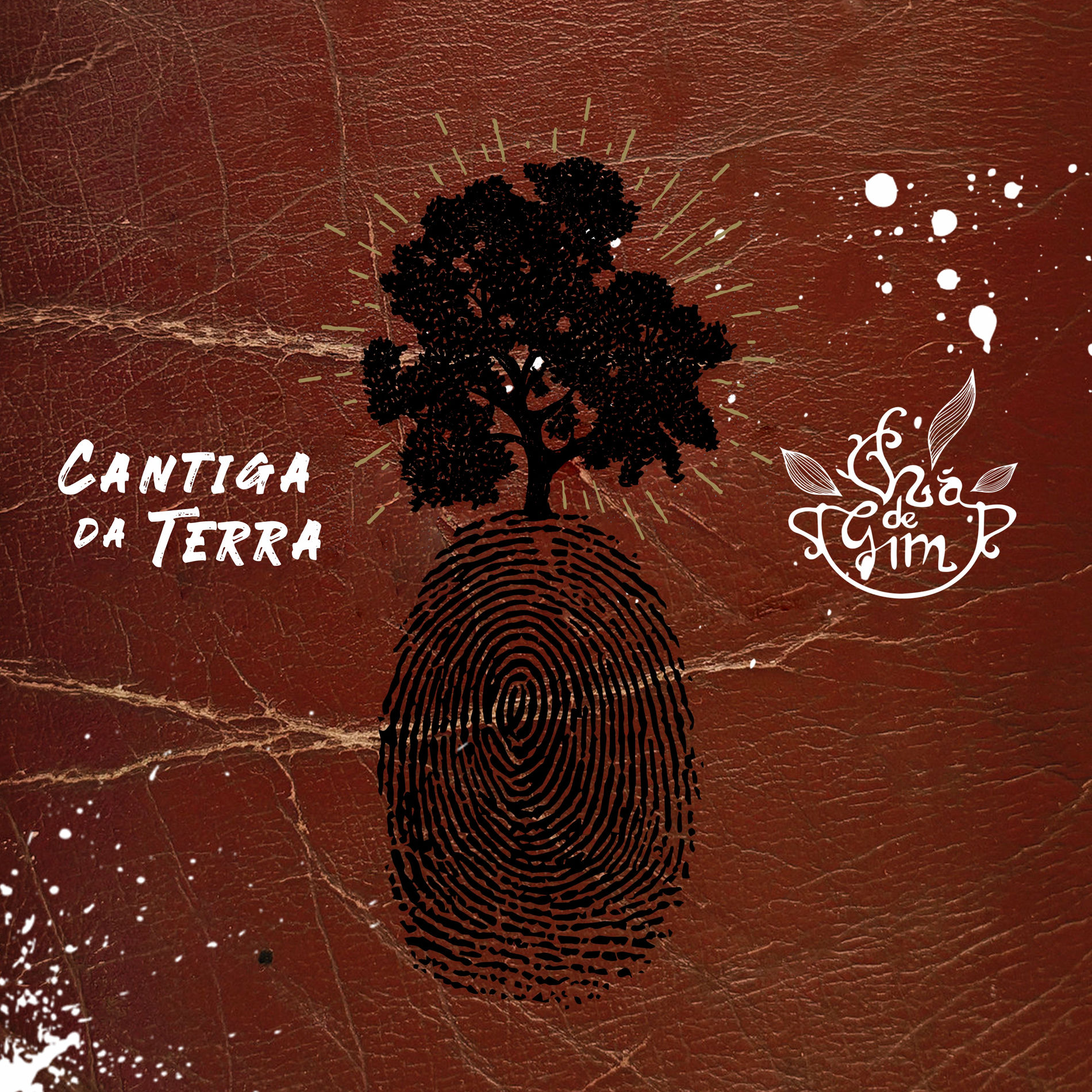 Album cover of Cantiga da Terra