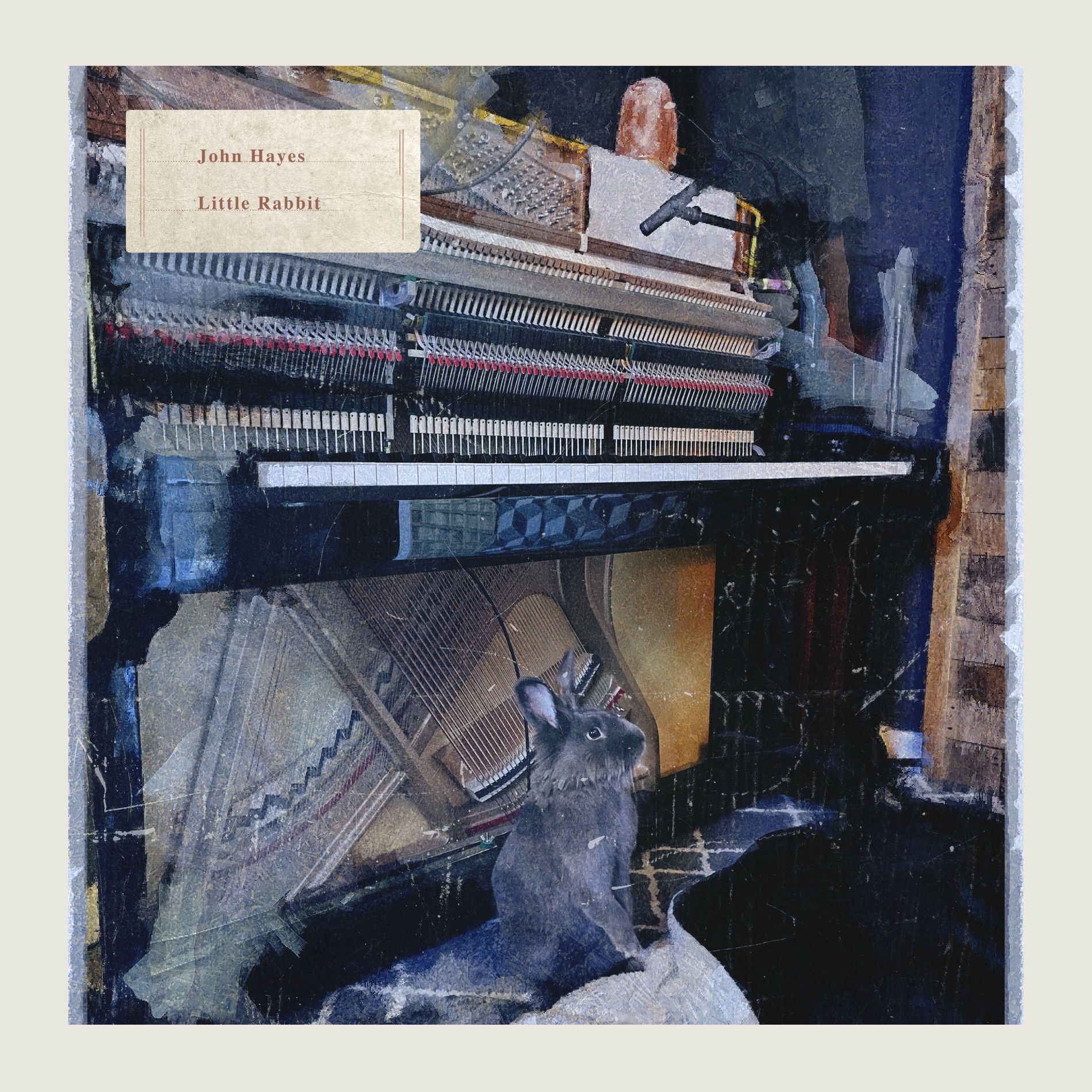 Album cover of Little Rabbit