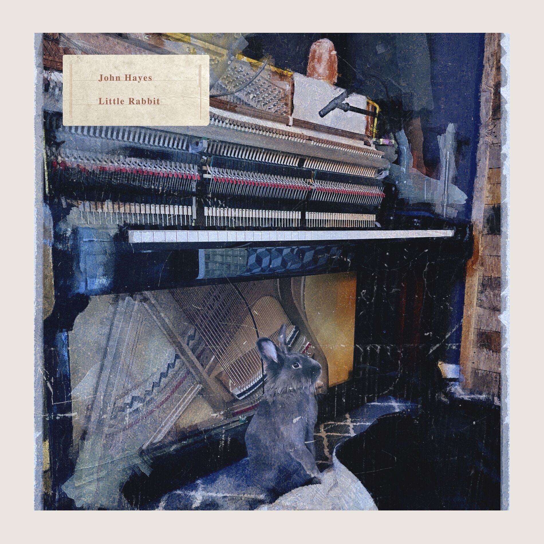Album cover of Little Rabbit