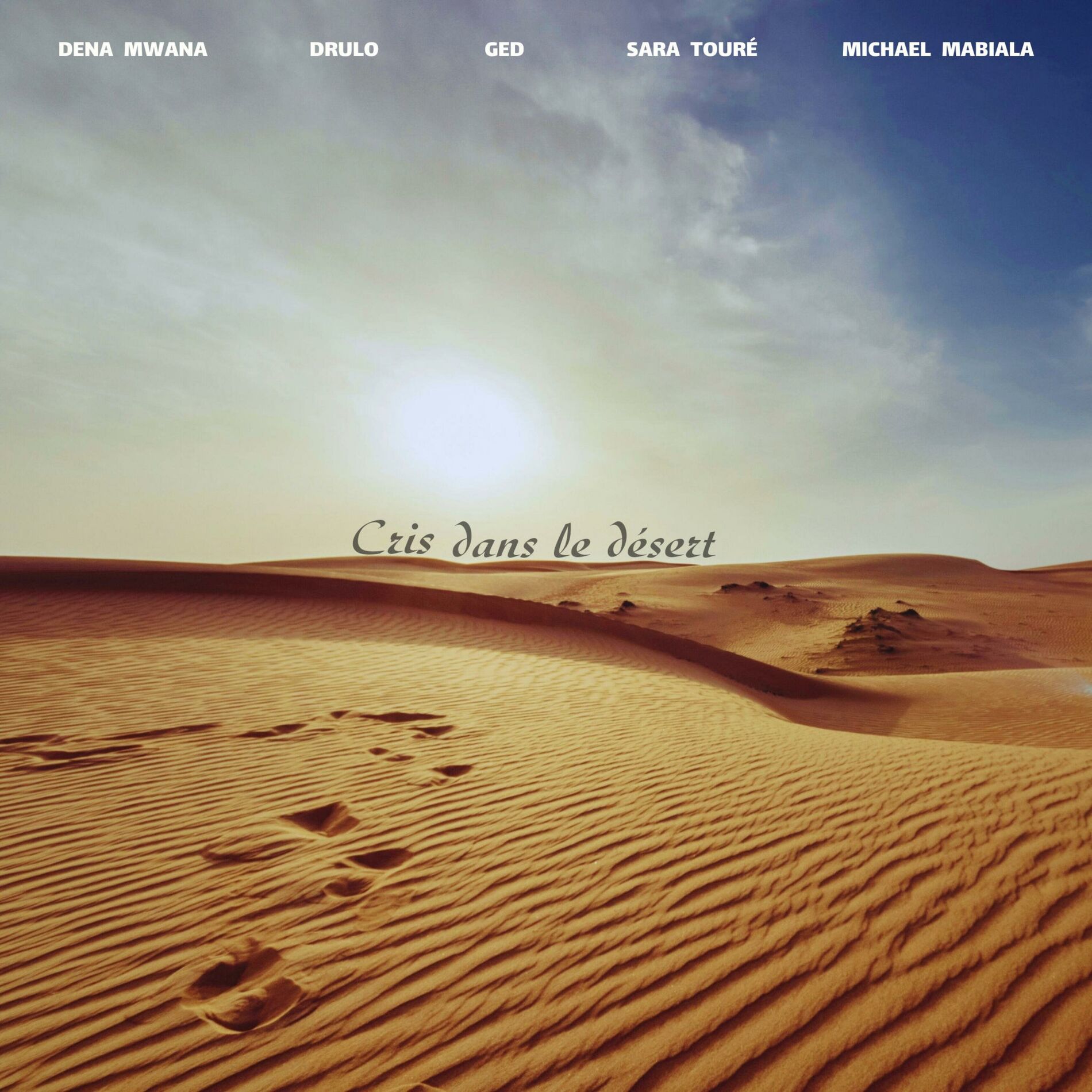 Album cover of Cris dans le désert (feat. Drulo, GED, Sara Toure & Michael Mabiala)