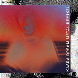 Cover of Dream Metal Remixes
