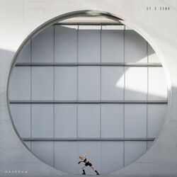 Cover of Up & Down