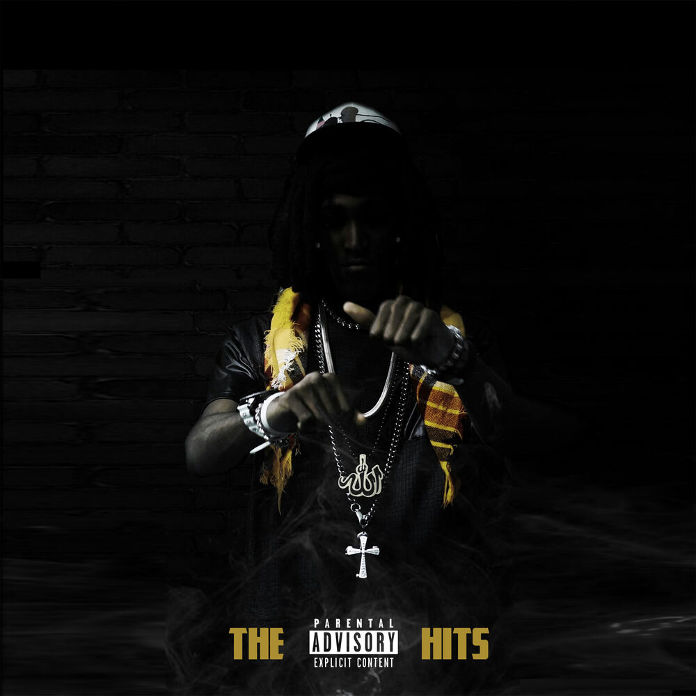 Picture of The Hits