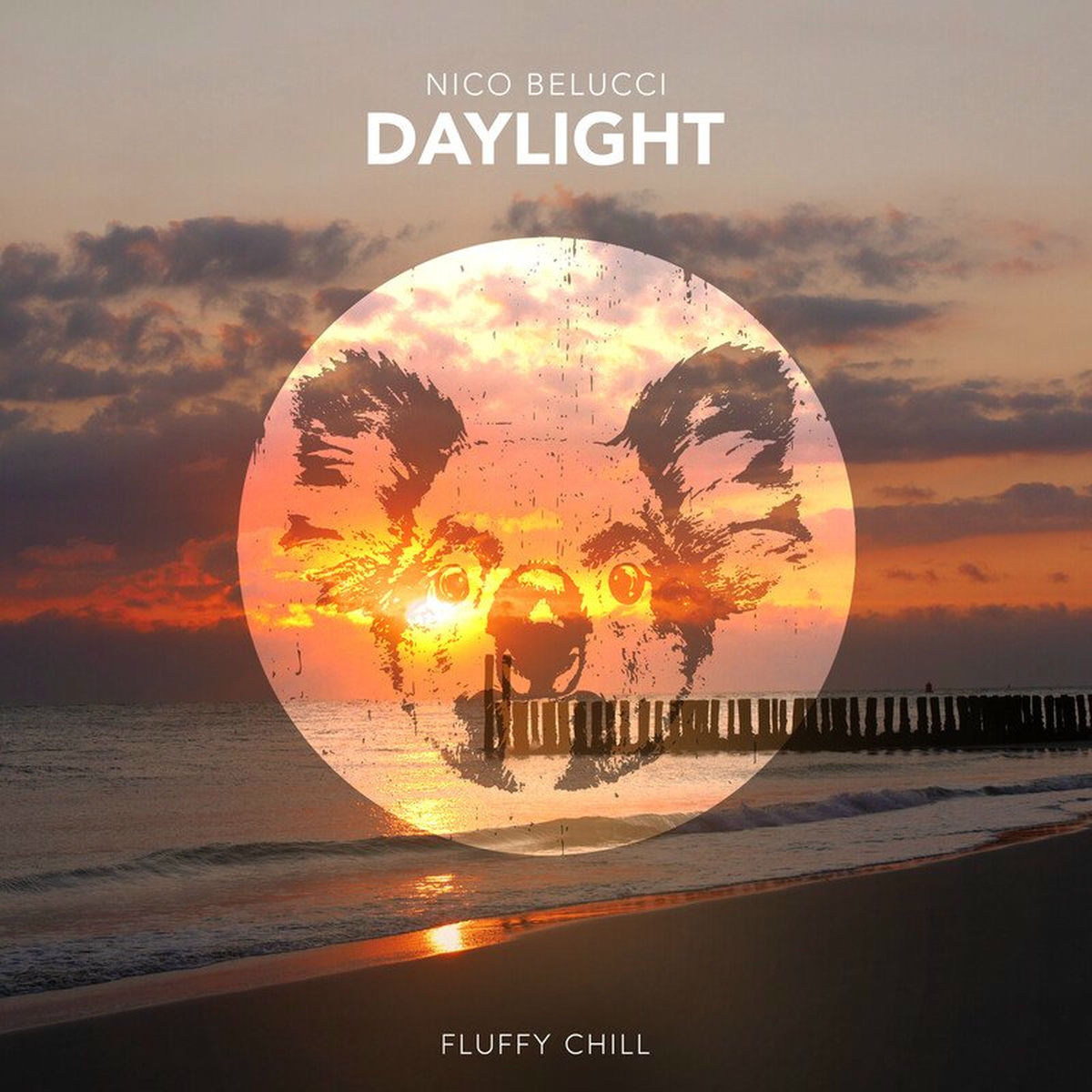 Album cover of Daylight