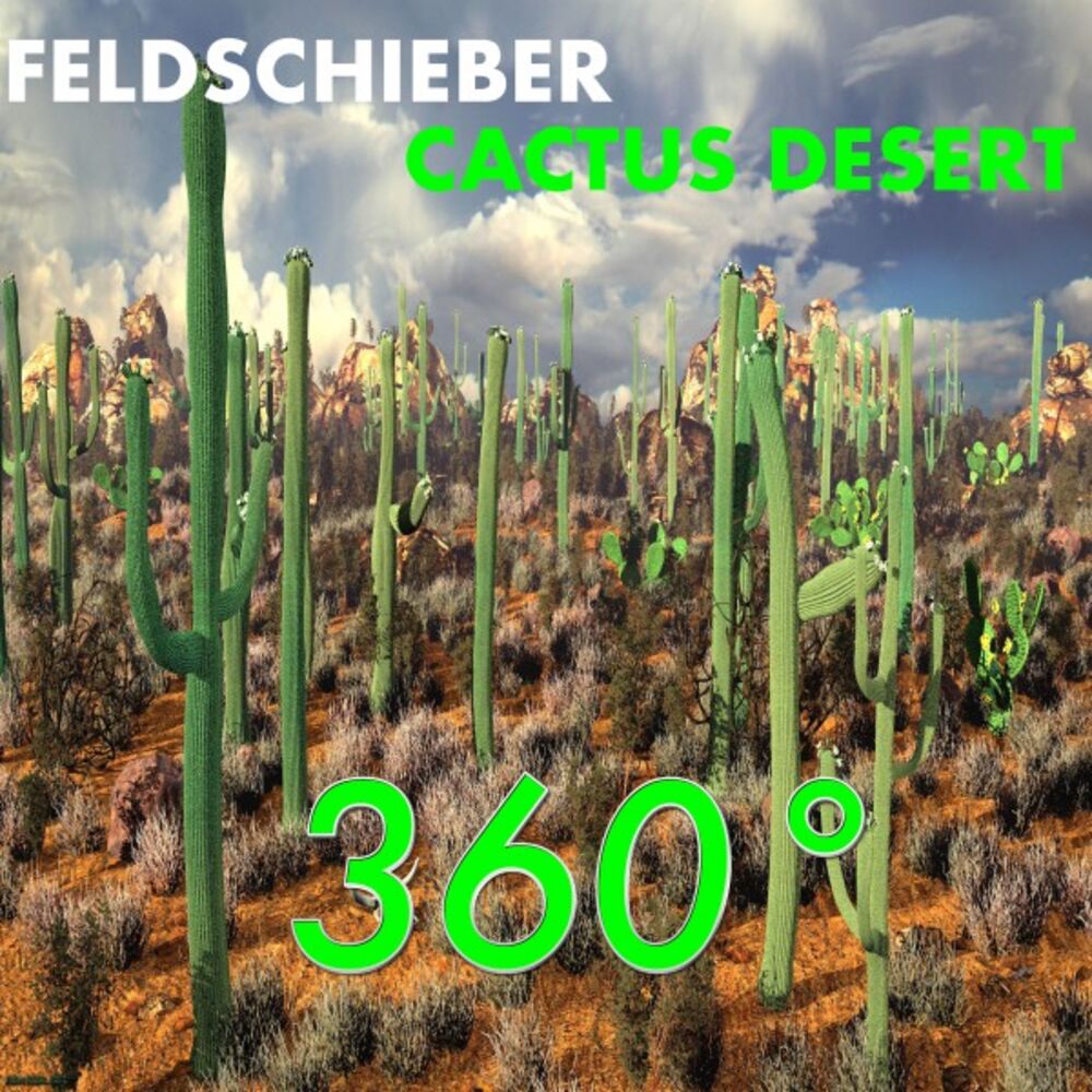 Picture of Cactus Desert