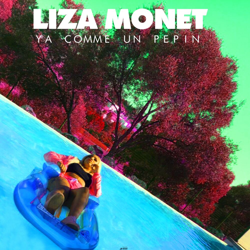 Picture of Y a comme un pépin