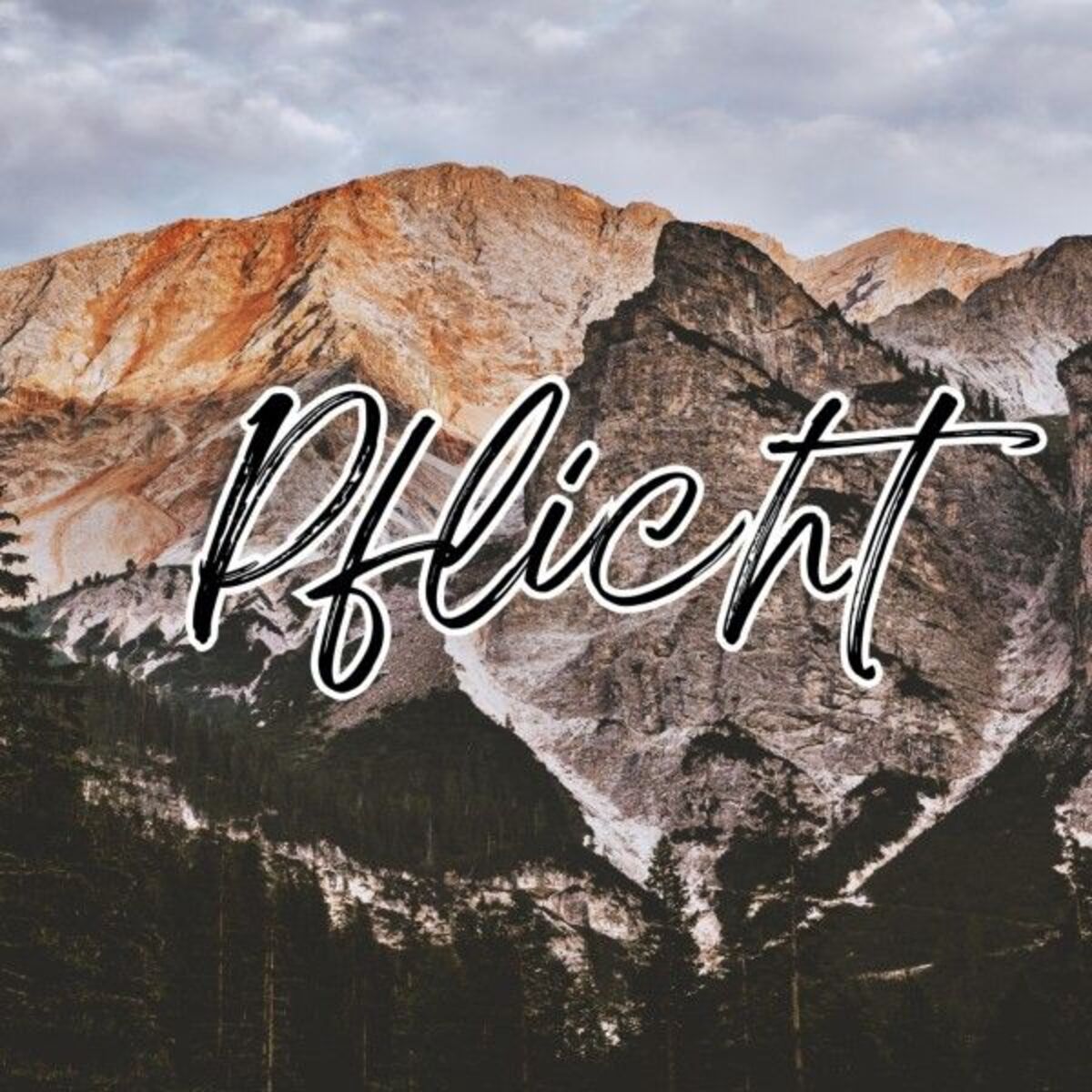 Album cover of Pflicht (Pastiche/Remix/Mashup)