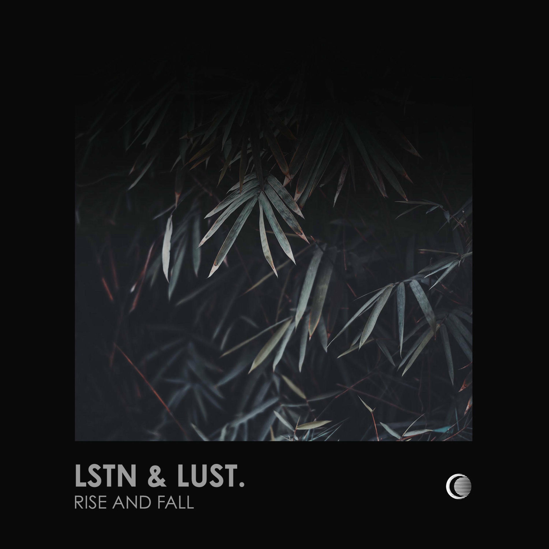 Album cover of Rise and Fall