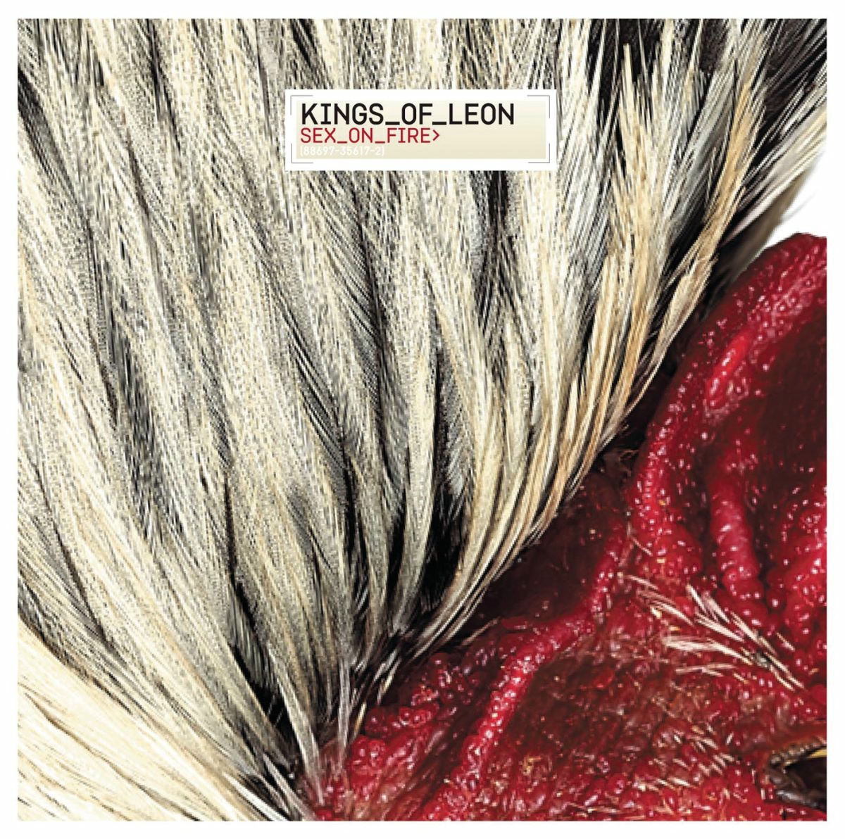 Album cover of Sex on Fire