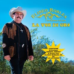 Cover of La Voz De Oro (Versión Remasterizada)