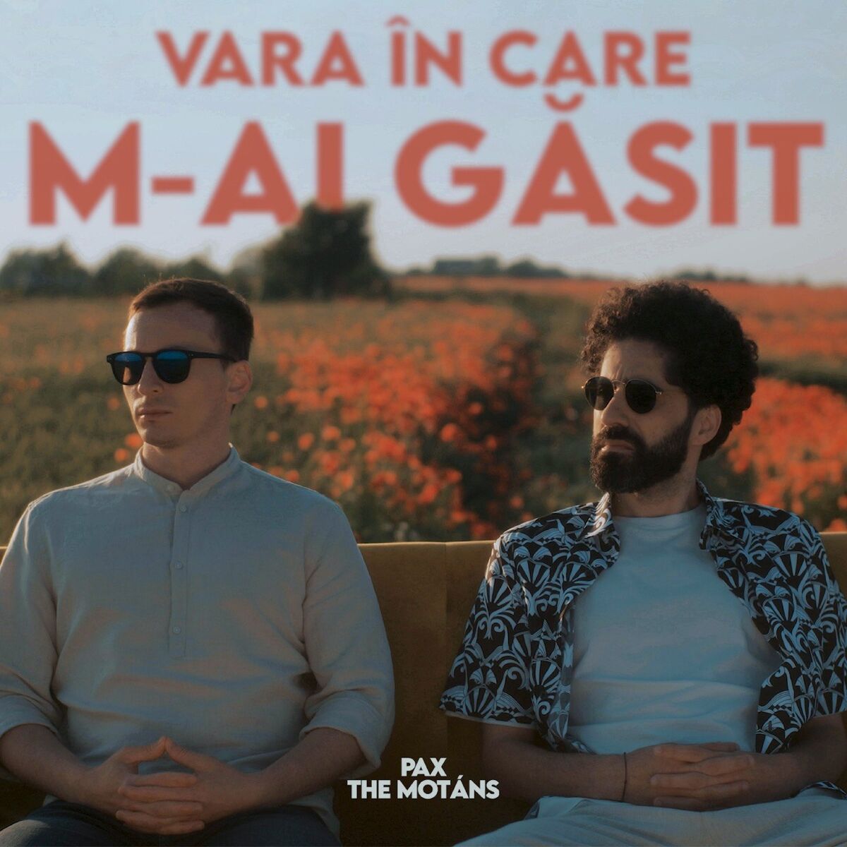 Album cover of Vara În Care M-ai Găsit