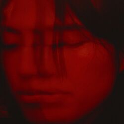 Cover of Not in Love