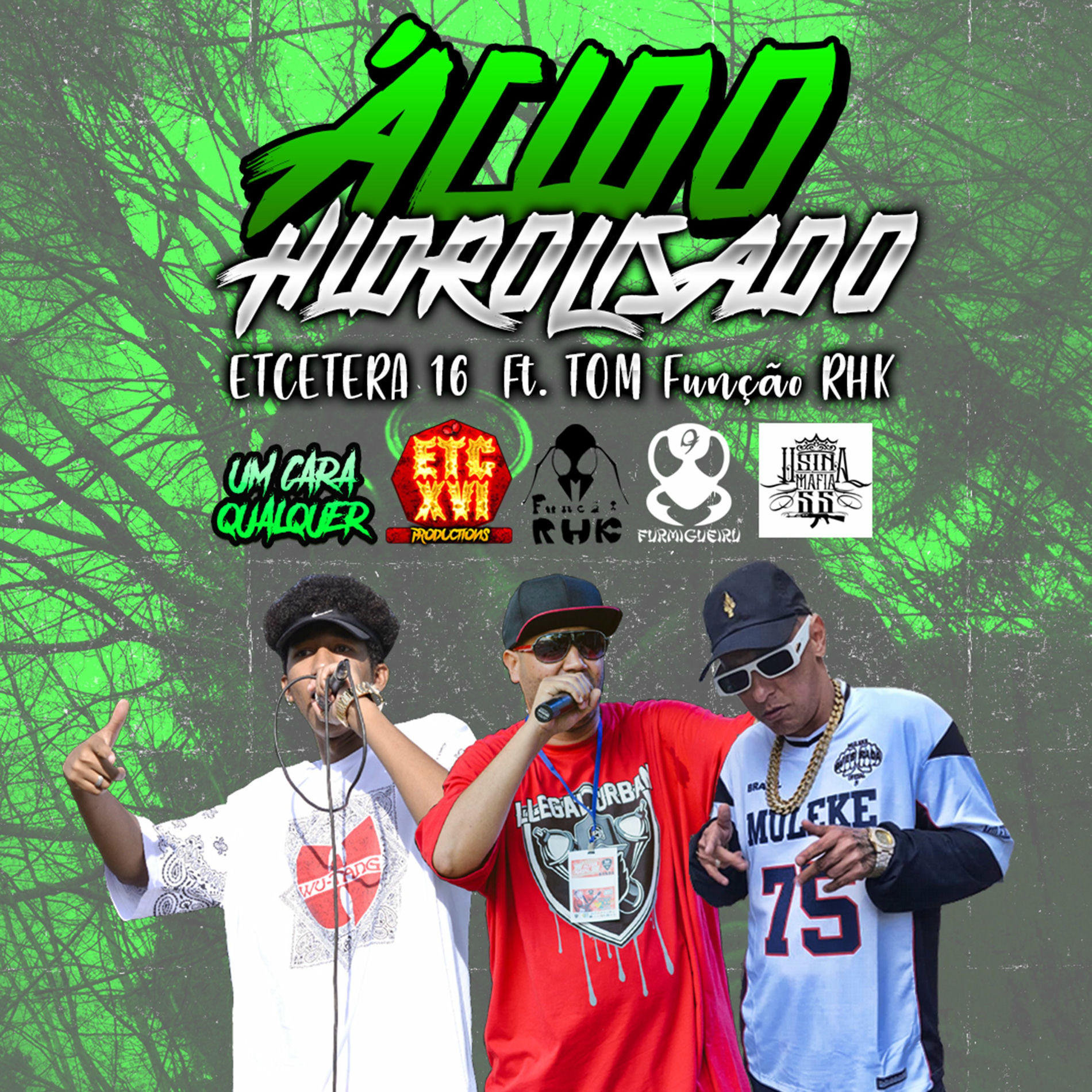 Album cover of Ácido Hidrolisado