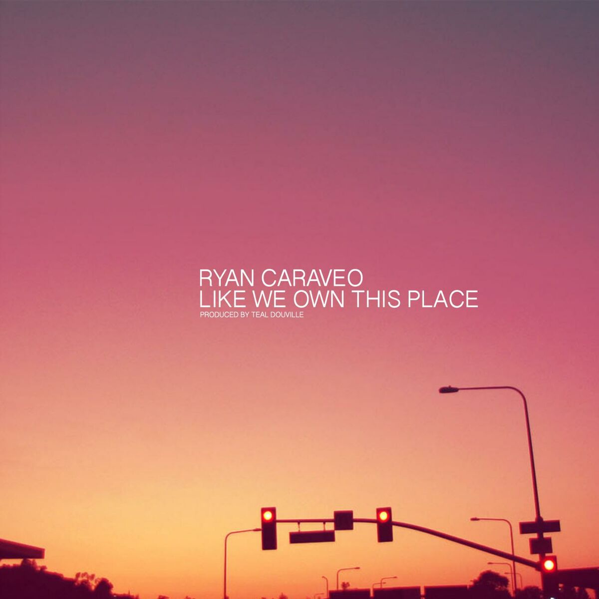 Album cover of Like We Own This Place