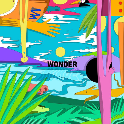 Wonder sleeve