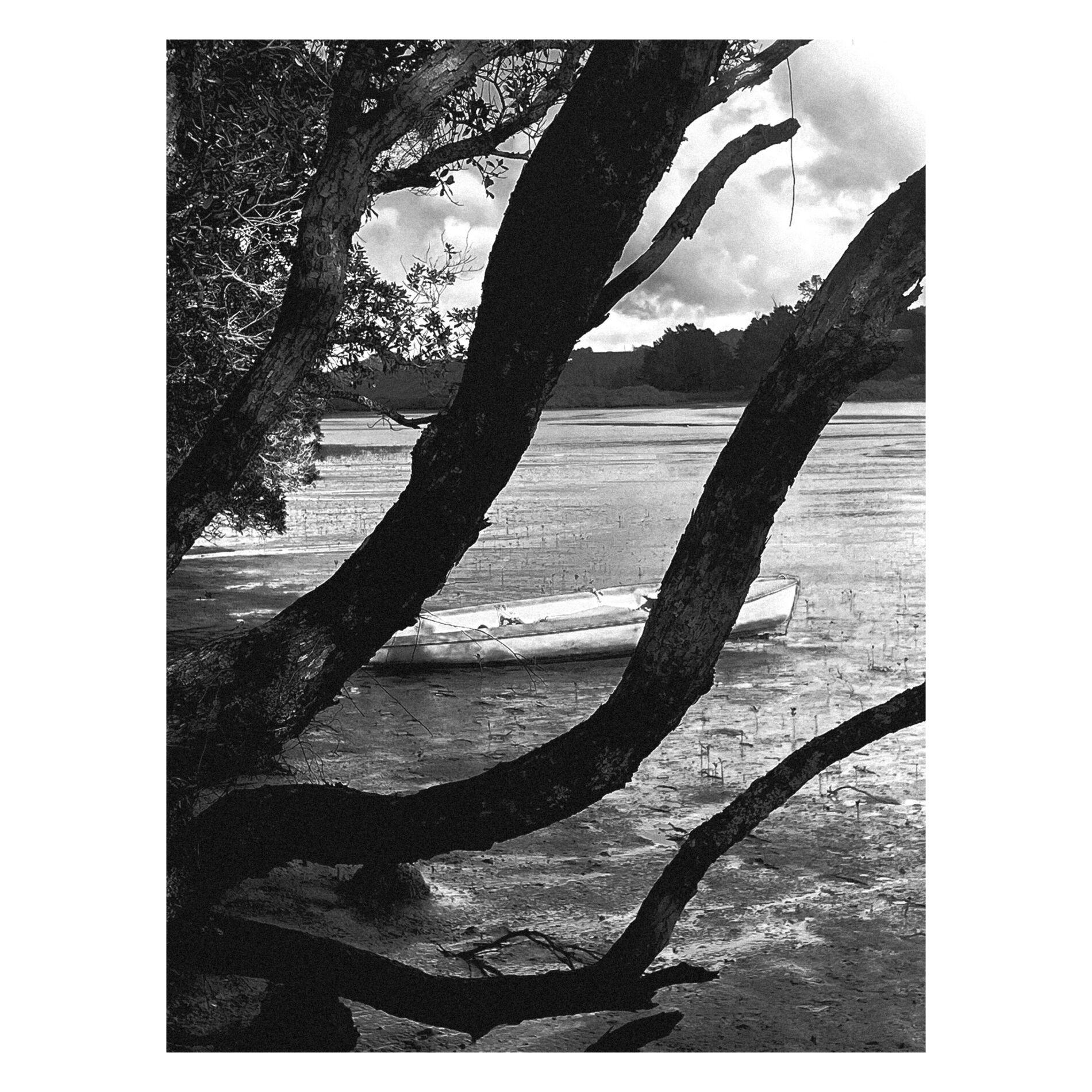 Album cover of Trace