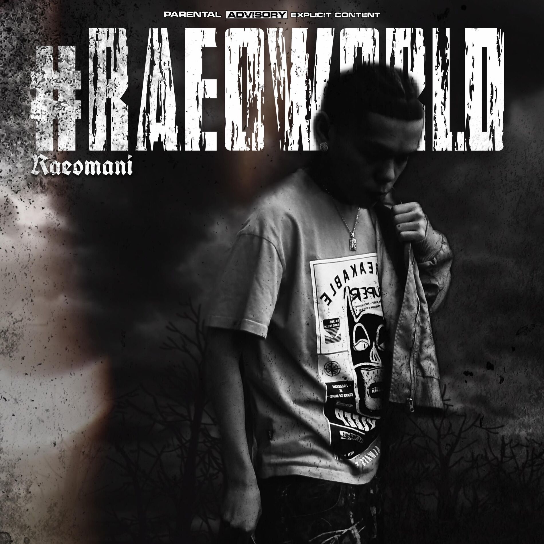 Album cover of #RaeoWorld