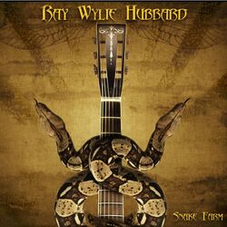 Cover of Snake Farm