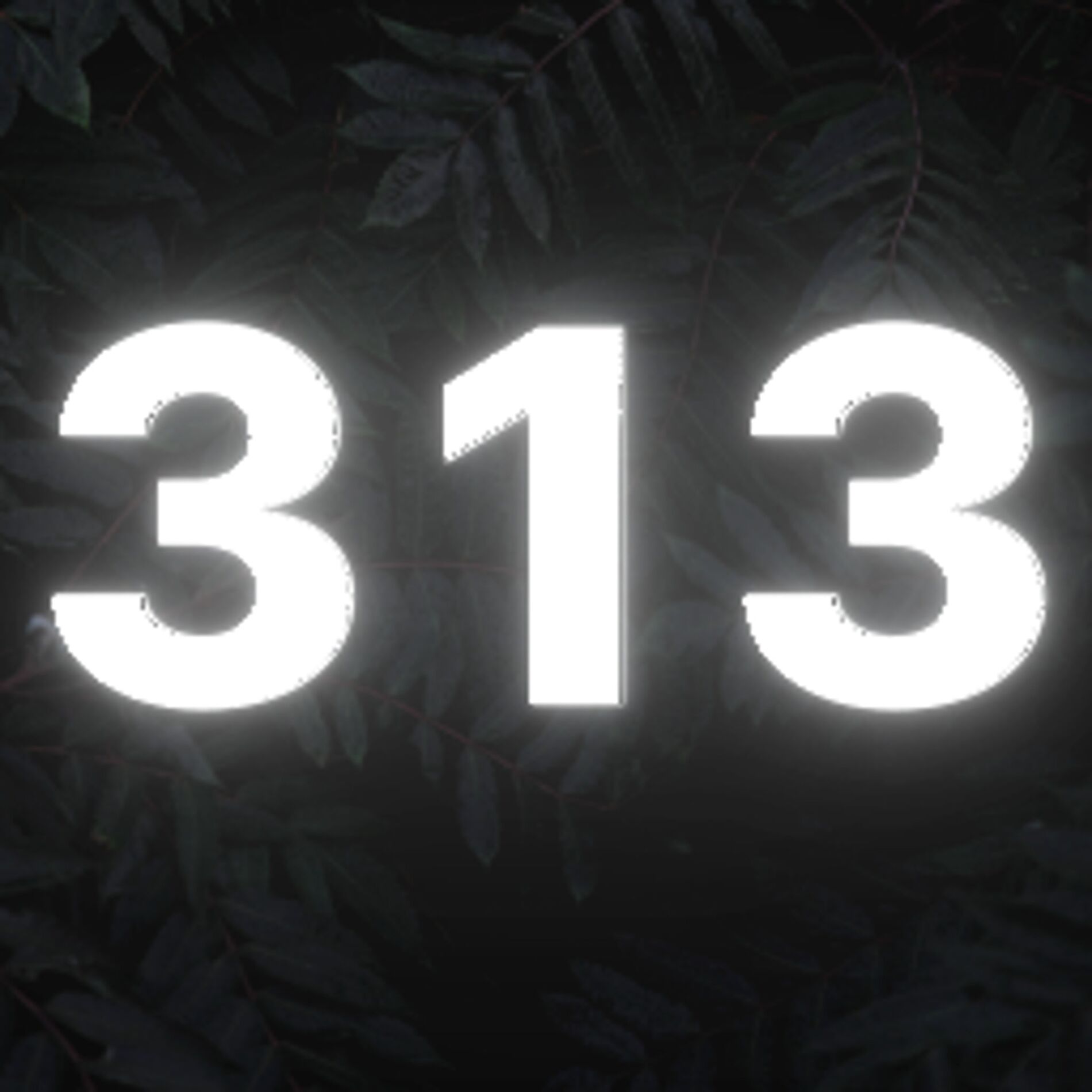 Album cover of 313 4 LIFE