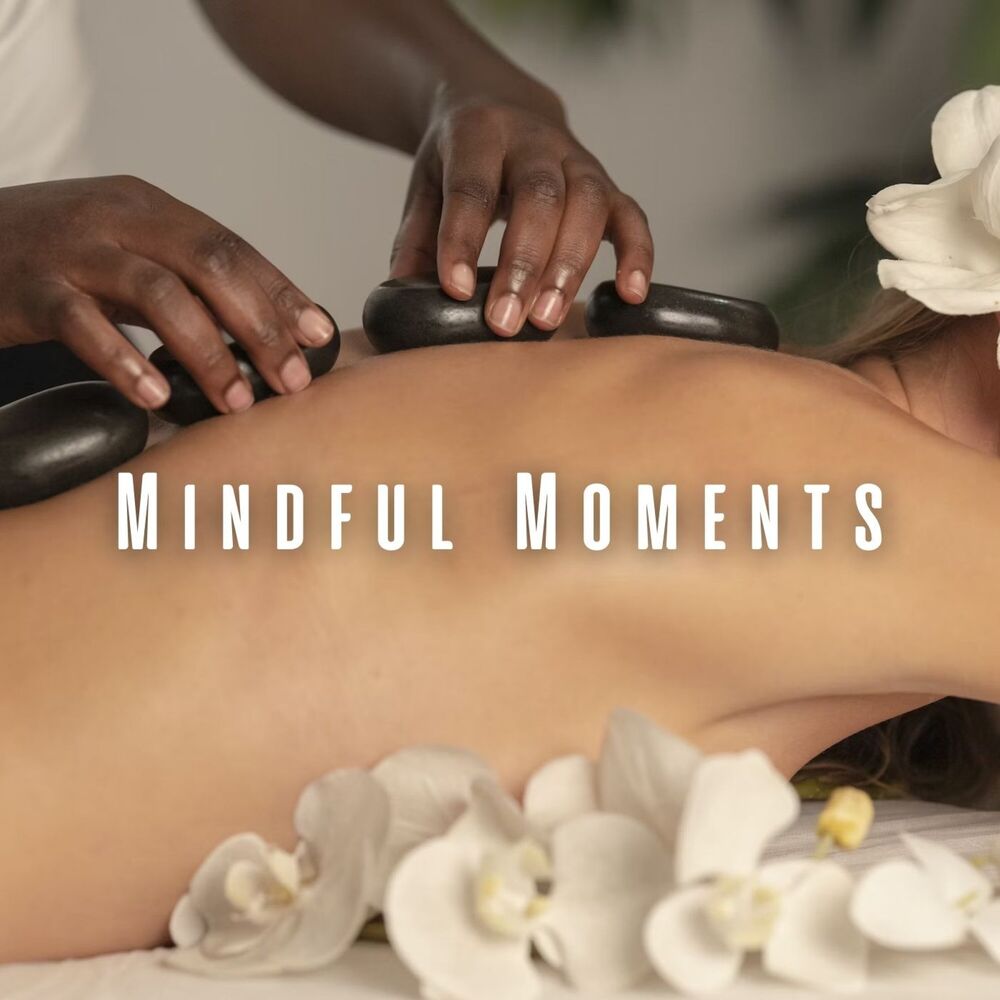 Picture of Mindful Moments: Binaural Music for Spa Sensations