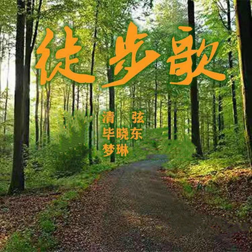 徒步歌 (广场舞DJ版)