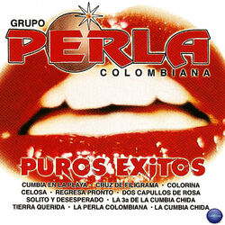 Cover of Puros Exitos