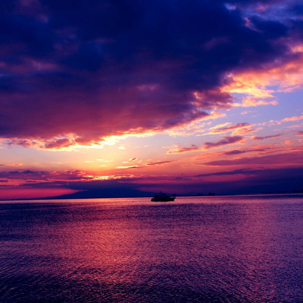 Picture of Summer