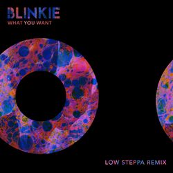 Cover of What You Want (Low Steppa Remix)