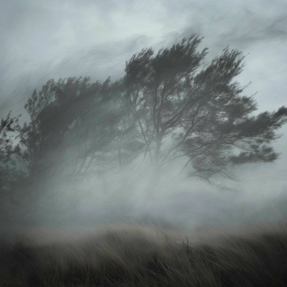 Album cover of The Lost Oasis