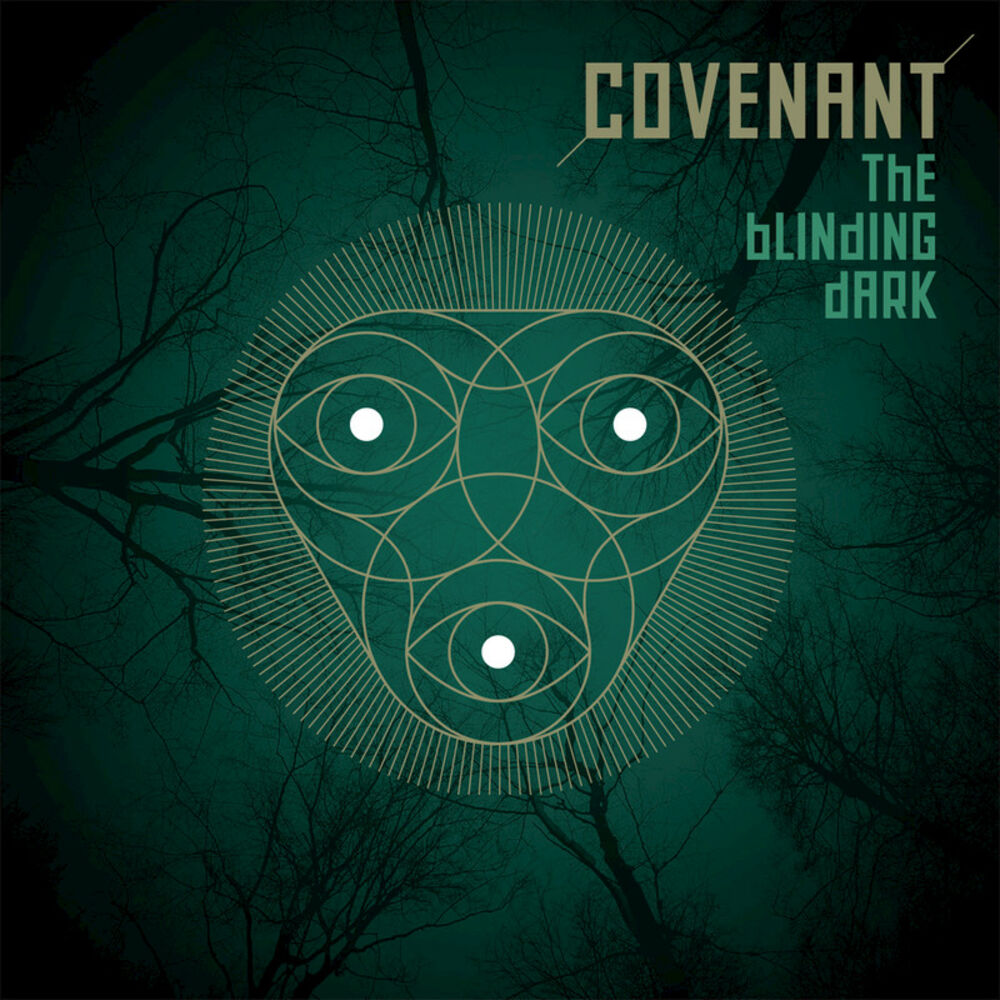 Picture of The Blinding Dark