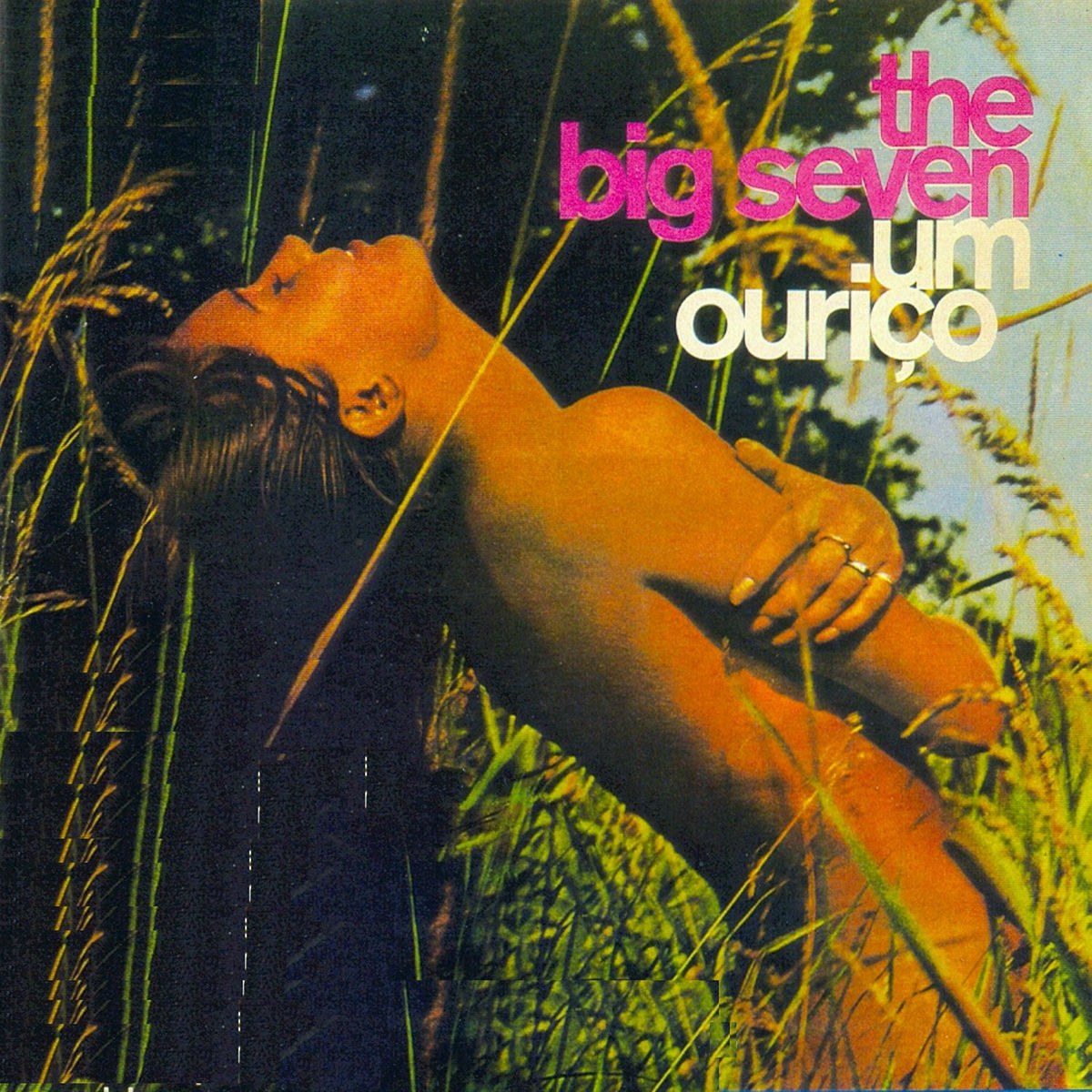 Album cover of Um Ouriço