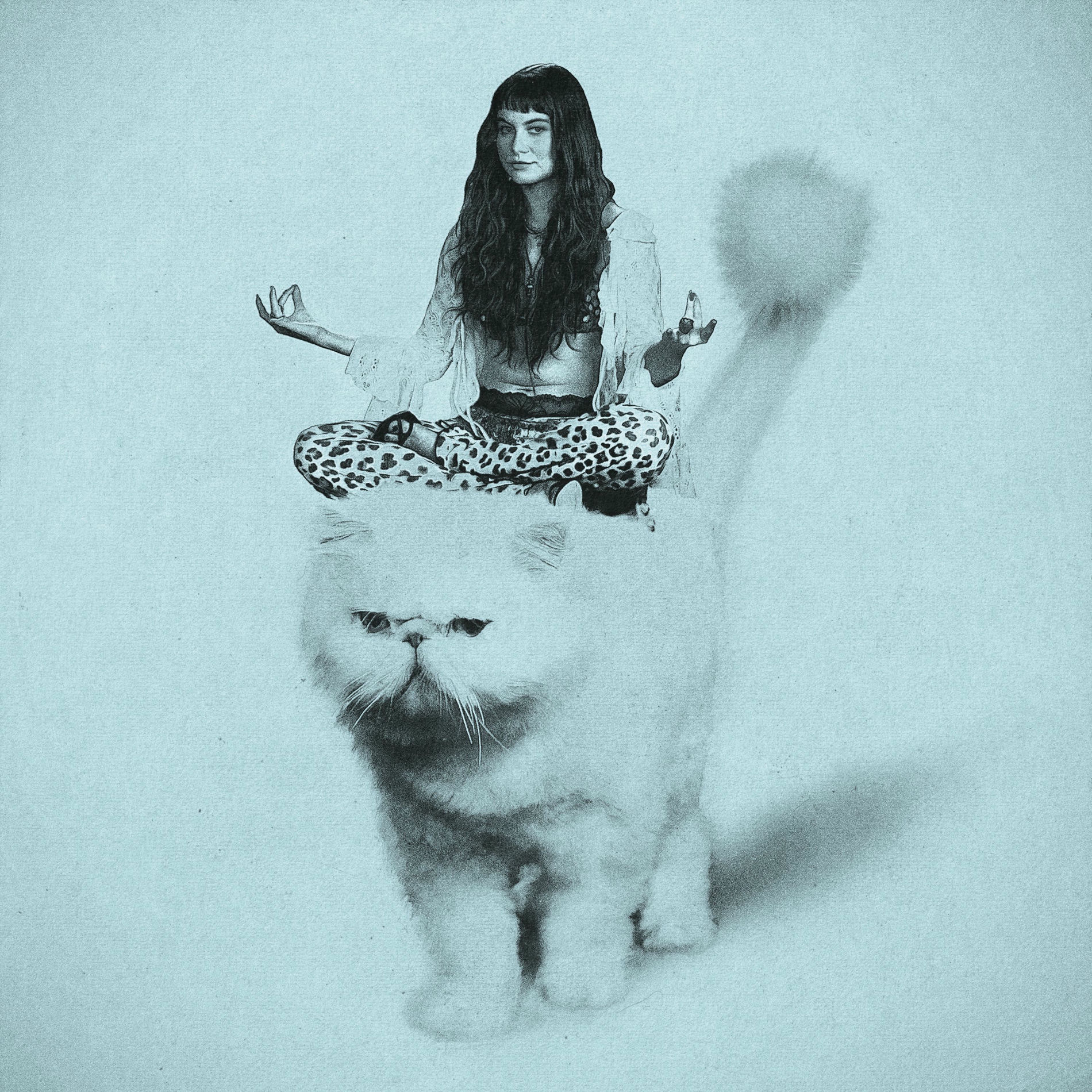 Album cover of idgaf era