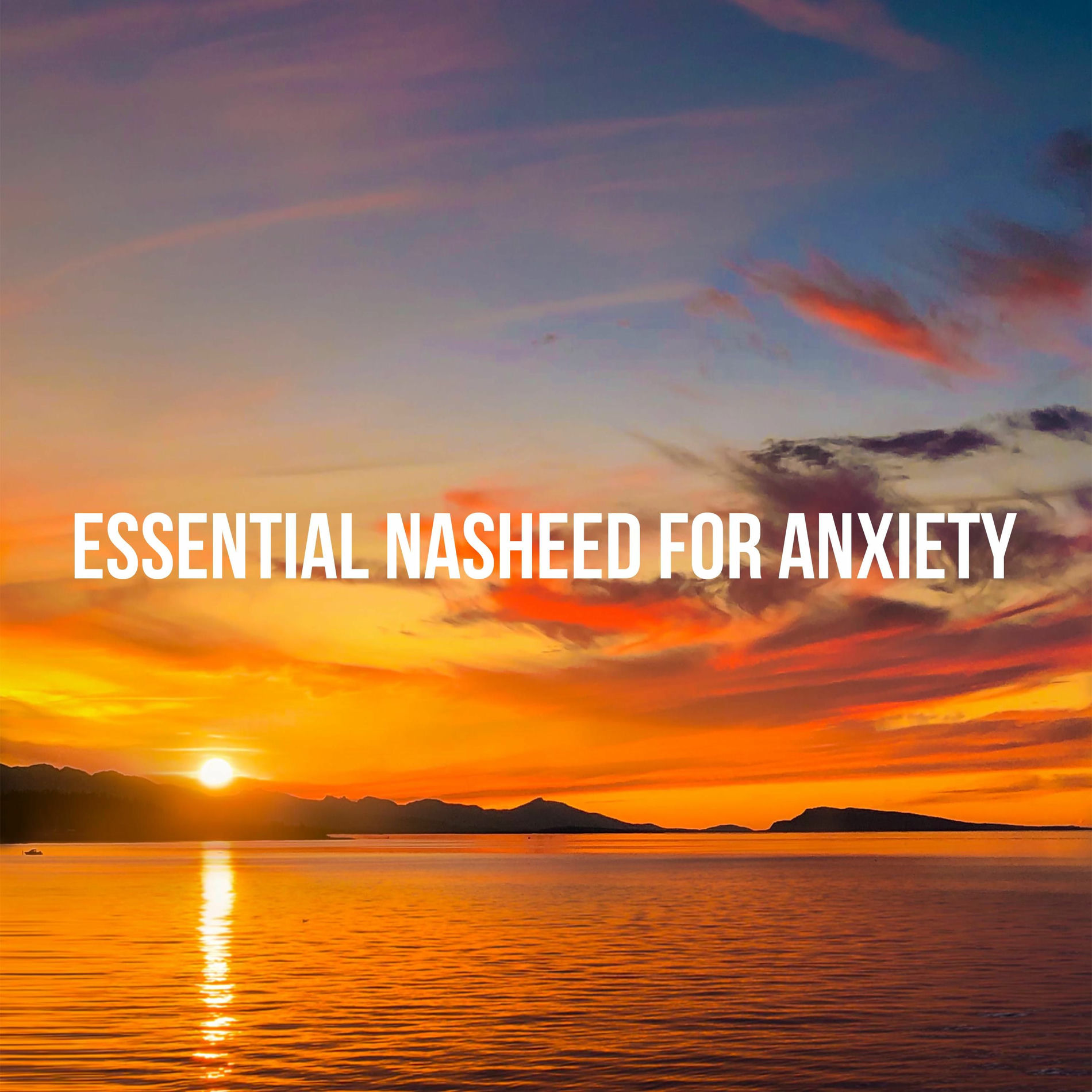 Album cover of World Of Nasheed