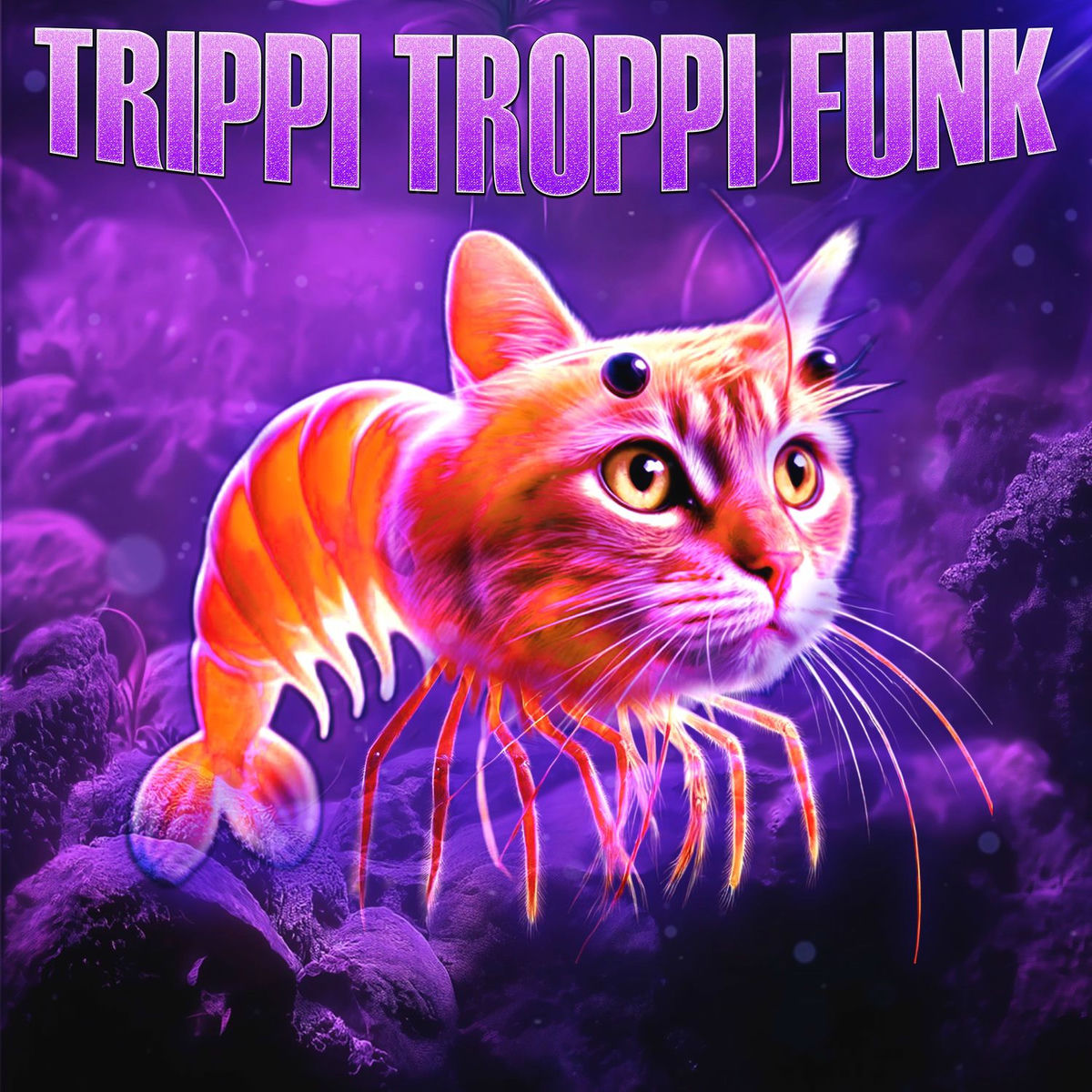 Album cover of TRIPPI TROPPI FUNK