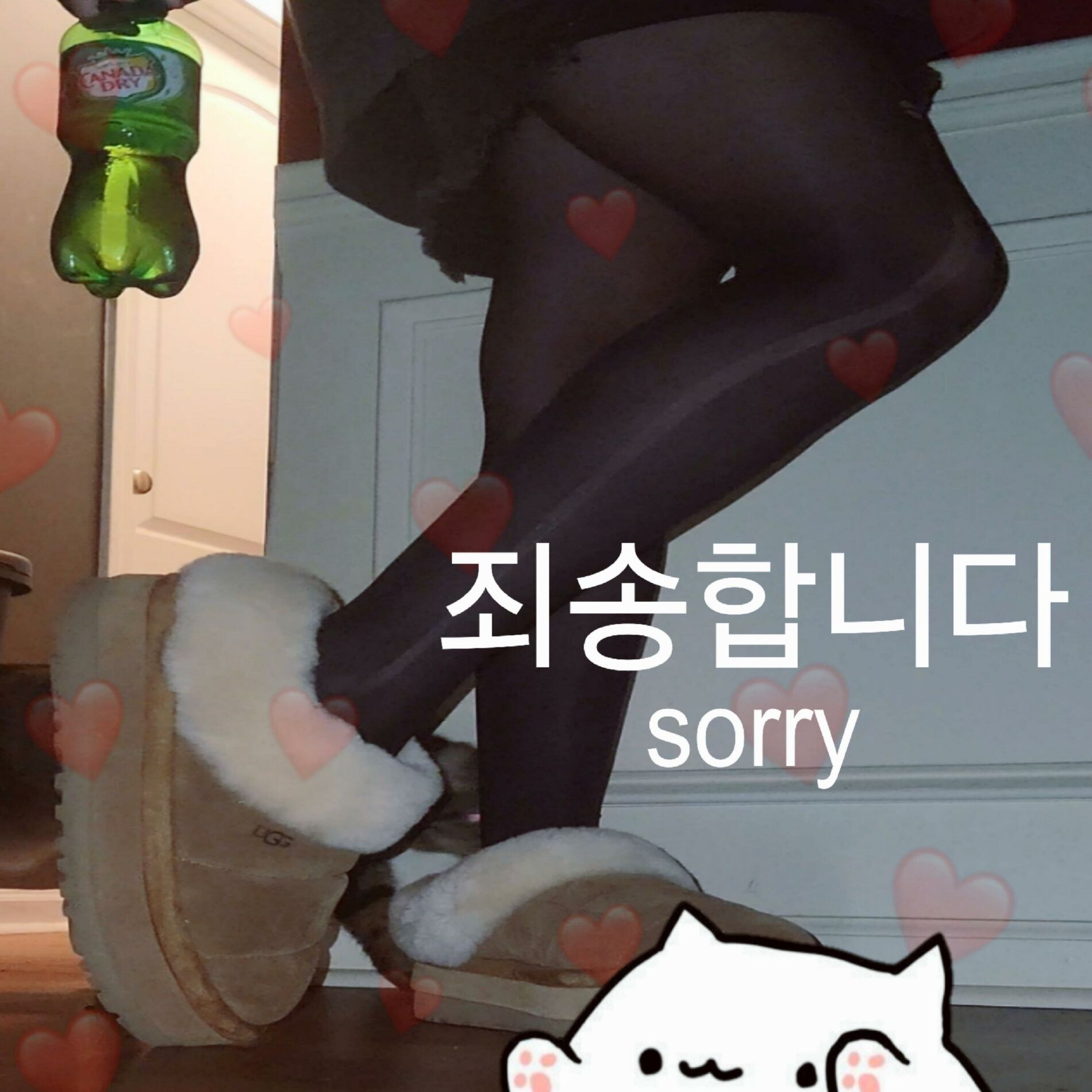 Album cover of sorry