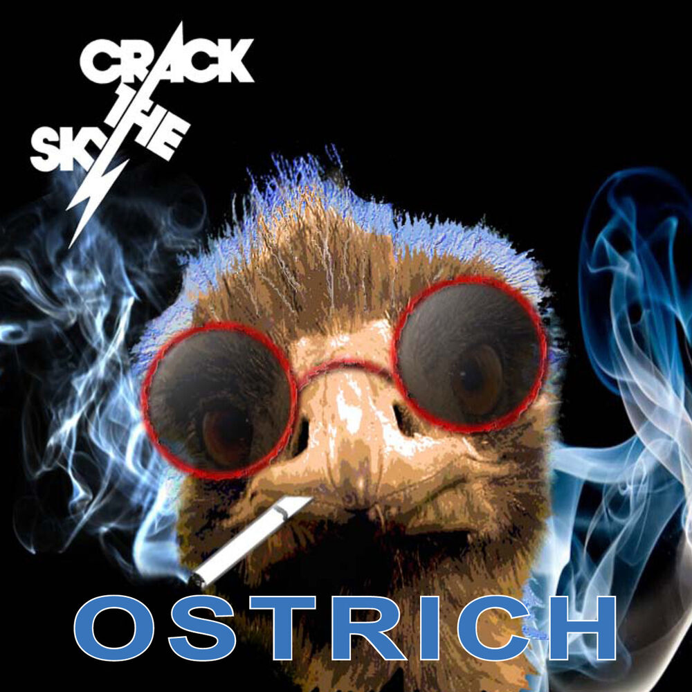 Picture of Ostrich